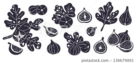 Fig fruit silhouettes. Black icons, branches with leaves and whole, cut fruits, graphic stamps, decorative plant elements for design, botanical tropical decor for logo, garish vector set Fig fruit silhouettes. Black icons, branches with leaves and whole, cut fruits, graphic stamps, decorative plant elements for design, botanical tropical decor for logo, garish vector set 136679891
