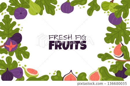 Figs frame poster design. Cartoon branches, leaves and purple, green fruits, decorative border, organic plant, natural food, horizontal banner template with copy space, garish vector concept Figs frame poster design. Cartoon branches, leaves and purple, green fruits, decorative border, organic plant, natural food, horizontal banner template with copy space, garish vector concept 136680035