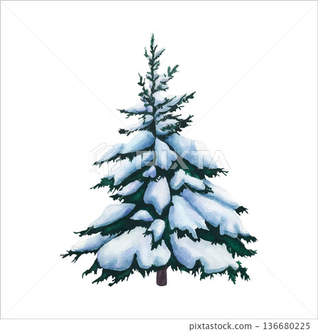 Spruce tree in the snow. Watercolor vector illustration of Fir tree covered snow on white background. Isolated of Christmas tree covered in snow. Tree of Snowy forest for design, invitation, postcard Spruce tree in the snow. Watercolor vector illustration of Fir tree covered snow on white background. Isolated of Christmas tree covered in snow. Tree of Snowy forest for design, invitation, postcard 136680225