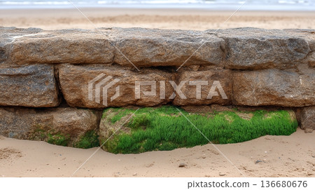 Weathered Stone Foundation Seen at a Beach With Greenery Along the Shore Near the Water Weathered Stone Foundation Seen at a Beach With Greenery Along the Shore Near the Water 136680676