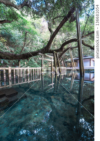 Kashima Shrine, Mitarai Pond and Torii Gate Reflection Kashima Shrine, Mitarai Pond and Torii Gate Reflection 136681054