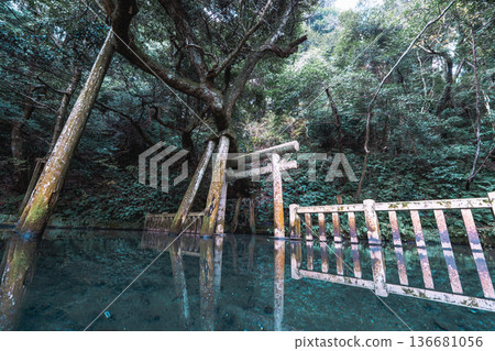 Kashima Shrine, Mitarai Pond and Torii Gate Reflection 136681056