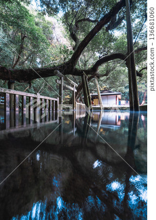 鹿島神社、御手洗池和鳥居倒影 136681060