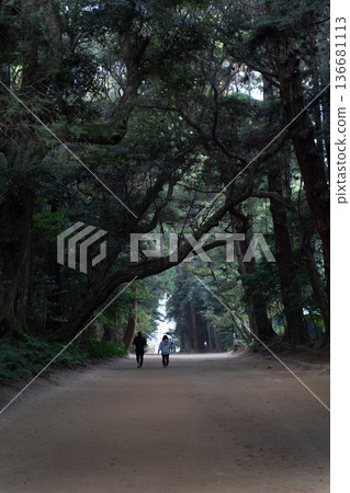 Kashima Shrine: The inner approach surrounded by cedar trees Kashima Shrine: The inner approach surrounded by cedar trees 136681113