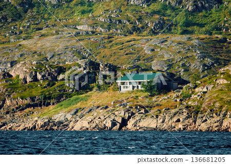the coast of the Barents Sea at sunny weather, the rocky shore with colourful arctic carpet of moss, yagel, Tundra at autumn the coast of the Barents Sea at sunny weather, the rocky shore with colourful arctic carpet of moss, yagel, Tundra at autumn 136681205