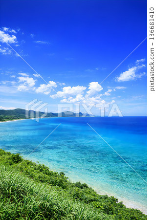 一片廣闊的綠色草地，俯瞰著蔚藍的大海。 136681410