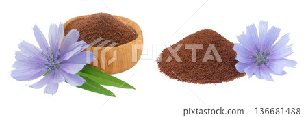 Chicory powder in wooden bowl and flower isolated on white background. Cichorium intybus. 136681488