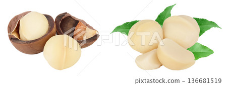 macadamia nuts isolated on white background with full depth of field macadamia nuts isolated on white background with full depth of field 136681519