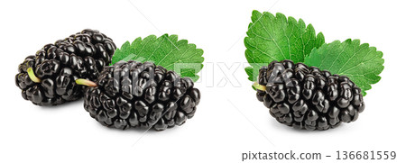 Mulberry with leaf isolated on white background 136681559