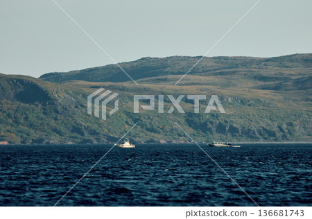 the coast of the Barents Sea, pleasure boats in the sea, the rocky shore with colourful arctic carpet of moss, yagel, Tundra at autumn the coast of the Barents Sea, pleasure boats in the sea, the rocky shore with colourful arctic carpet of moss, yagel, Tundra at autumn 136681743
