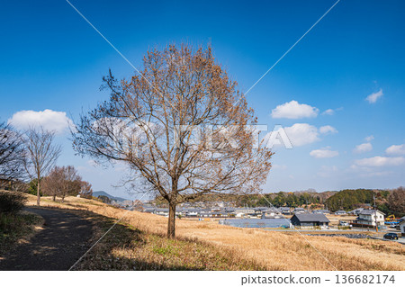 Kitora Tomb Area of Asuka Historical National Park, Asuka Village, Nara Prefecture 136682174