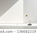 Minimalist still life with a dried flower in a glass vase and elegant sunlight shadows on a white wall. 136682219