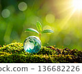 Small green plant sprout growing next to a glass earth globe on mossy ground under bright sunlight. 136682226