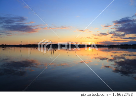 Asahi reflected on the surface of the water 136682798
