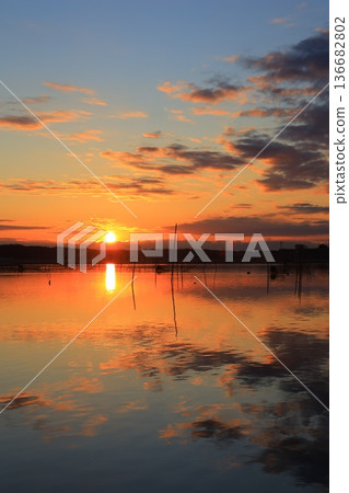 Asahi reflected on the surface of the water 136682802