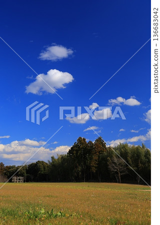 Clouds floating in the blue sky Clouds floating in the blue sky 136683042