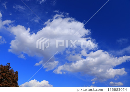 Clouds floating in the blue sky Clouds floating in the blue sky 136683054
