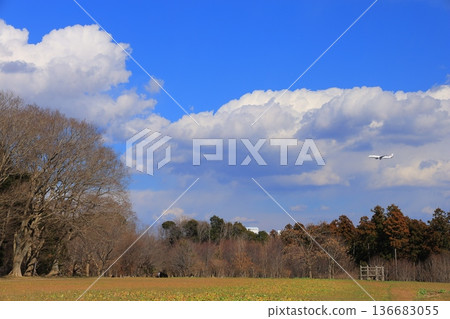Clouds floating in the blue sky 136683055
