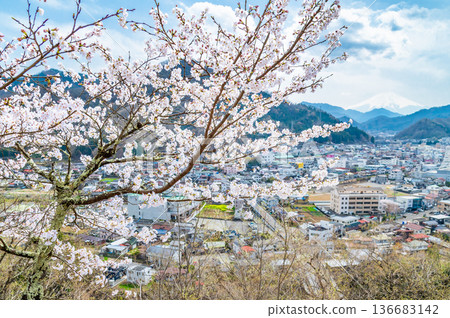 山梨縣:岩殿山櫻花盛開 山梨縣:岩殿山櫻花盛開 136683142