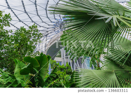 Indoor Tropical Garden With Waterfall Indoor Tropical Garden With Waterfall 136683311