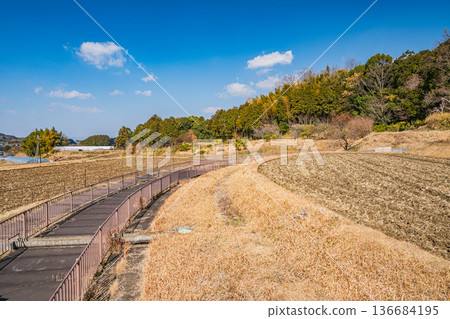 奈良縣飛鳥村的鄉村景色 136684195