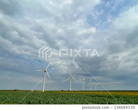 位於法國最西端科爾森角的風力發電場 位於法國最西端科爾森角的風力發電場 136684339