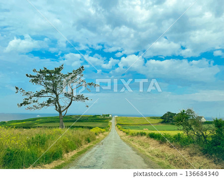 Cape Corsen, the westernmost point of France Cape Corsen, the westernmost point of France 136684340