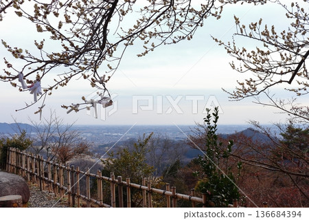 A fortune slip tied to the Sano cityscape overlooked from Karasawayama (Karasawayama Shrine) (Sano City, Tochigi Prefecture) A fortune slip tied to the Sano cityscape overlooked from Karasawayama (Karasawayama Shrine) (Sano City, Tochigi Prefecture) 136684394