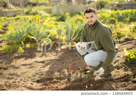 Young man planting garlic in garden Young man planting garlic in garden 136684605
