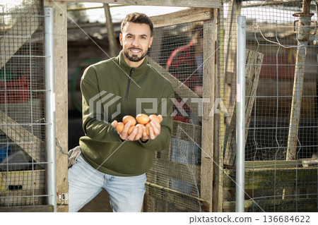 Man holding fresh eggs in chicken coop 136684622