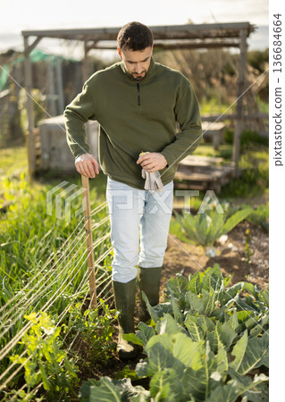 Portrait of positive male farmer in farmer field Portrait of positive male farmer in farmer field 136684664