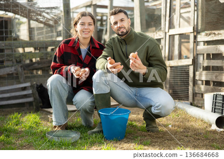 Young couple with chicken eggs in hen house Young couple with chicken eggs in hen house 136684668