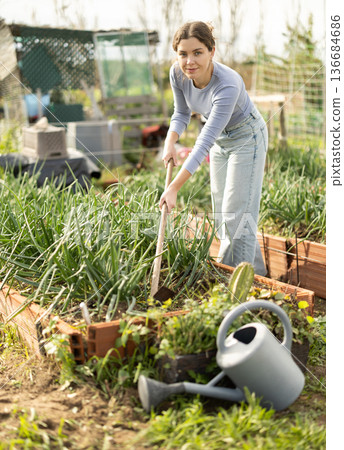 Young woman weeding onions in garden Young woman weeding onions in garden 136684686