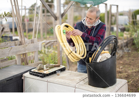 Mature farmer prepares hoses for watering garden Mature farmer prepares hoses for watering garden 136684699