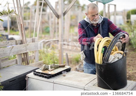 Mature farmer prepares hoses for watering garden 136684754