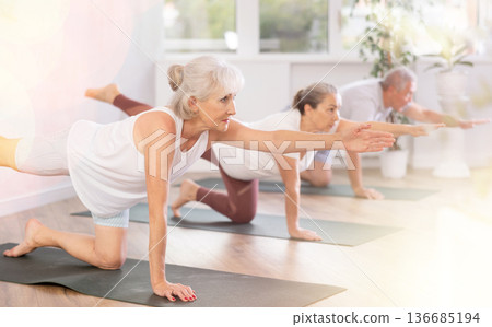 Elderly woman performs bird-dog pose at yoga studio Elderly woman performs bird-dog pose at yoga studio 136685194