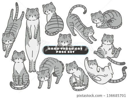 A set of 11 cute poses and facial expressions of tabby cats A set of 11 cute poses and facial expressions of tabby cats 136685701