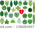 Various houseplant leaves icon set 136685847