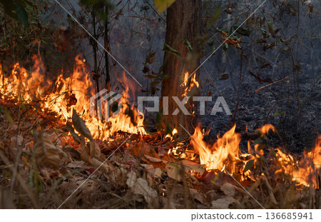 Wildfires release carbon dioxide (CO2) emissions and other greenhouse gases (GHG) that contribute to climate change. Wildfires release carbon dioxide (CO2) emissions and other greenhouse gases (GHG) that contribute to climate change. 136685941