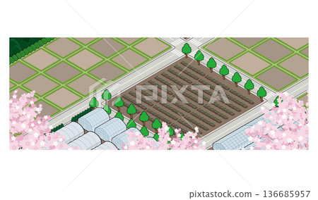 鄉村景觀插圖。等距城市。 鄉村景觀插圖。等距城市。 136685957
