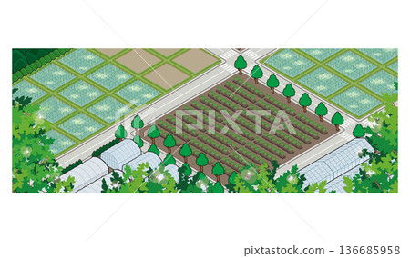鄉村景觀插圖。等距城市。 136685958