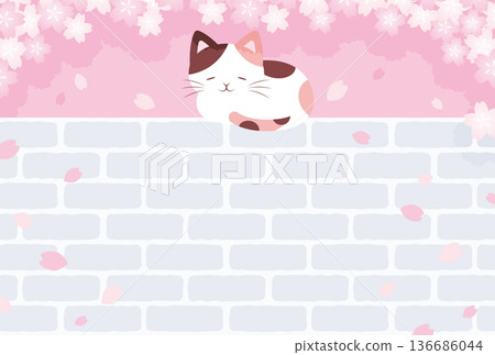 Background illustration of cherry blossoms and a cat sleeping on a brick wall Background illustration of cherry blossoms and a cat sleeping on a brick wall 136686044