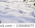 A blanket of snow covers the grassland 136686075