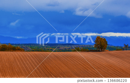 Rural landscape at dusk Rural landscape at dusk 136686220