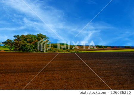 鄉村景觀 136686250