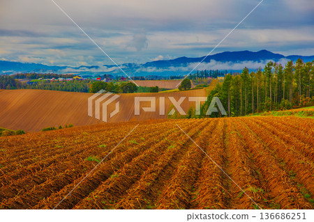 從薩奈山眺望鄉村日落美景 136686251