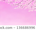 櫻花背景插畫_粉紅色 136686996