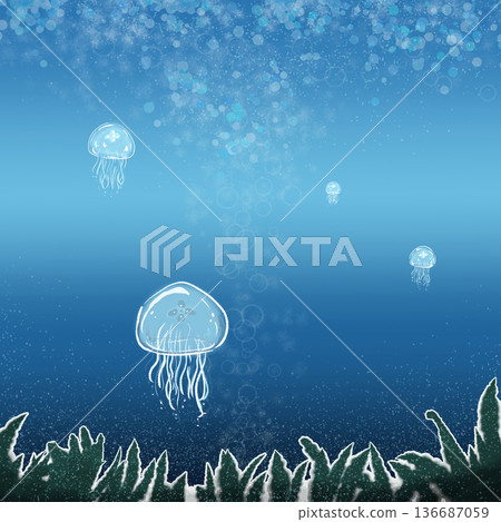 Jellyfish floating in the sea Jellyfish floating in the sea 136687059