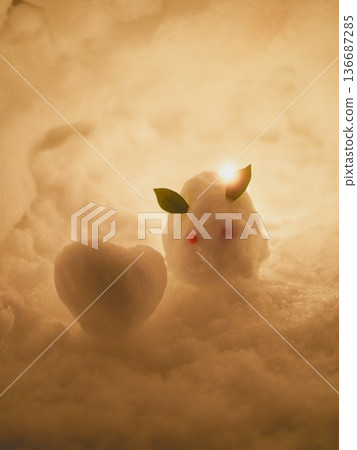 Otaru Snow Light Path Wax Bowl 136687285