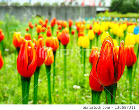 Red and yellow glass tulips Red and yellow glass tulips 136687311